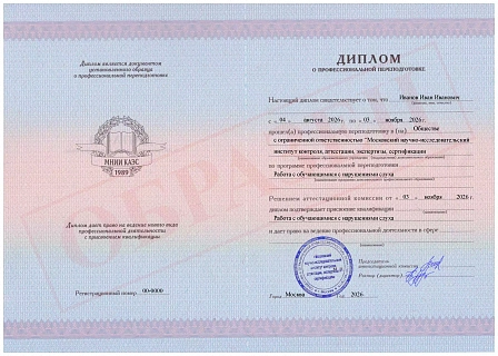 Диплом о профессиональной переподготовке МНИИ КАЭС "Работа с обучающимися с нарушениями слуха"